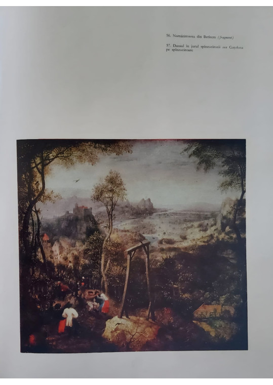 Bruegel 1969 - Ion Biberi