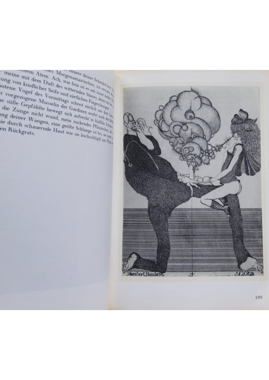 Sammelalbum - Die bibliophilen Taschenbucher - Albert Schindhutte